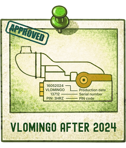 VLOMINGO after 2024