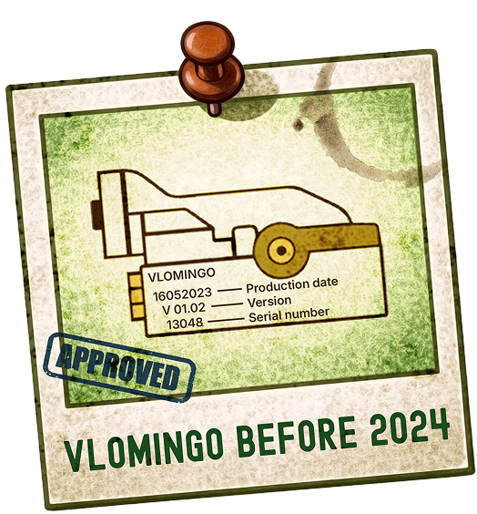 VLOMINGO before 2024