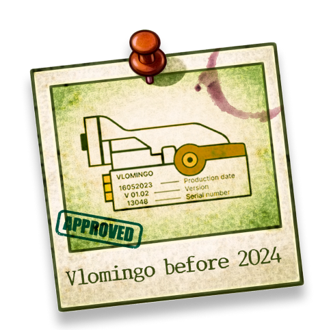 VLOMINGO before 2024