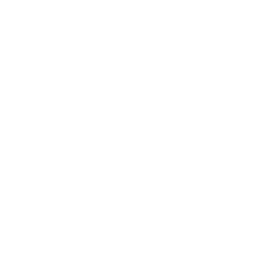 Cummins ISM/ISMe 11L CM875/876 DPF/SCR delete. Remote tuning service